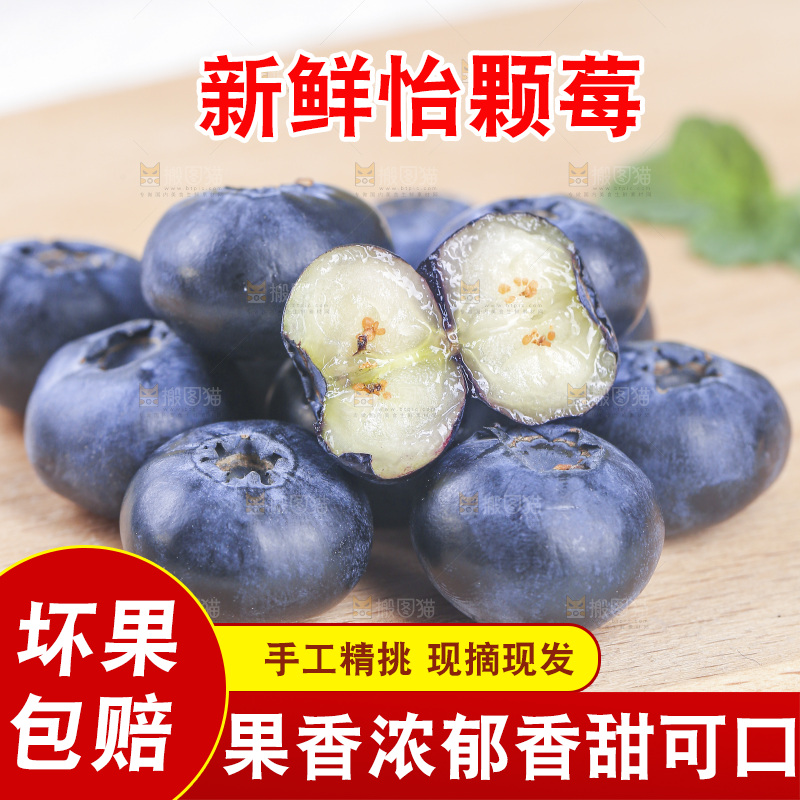 浅底上的怡颗梅