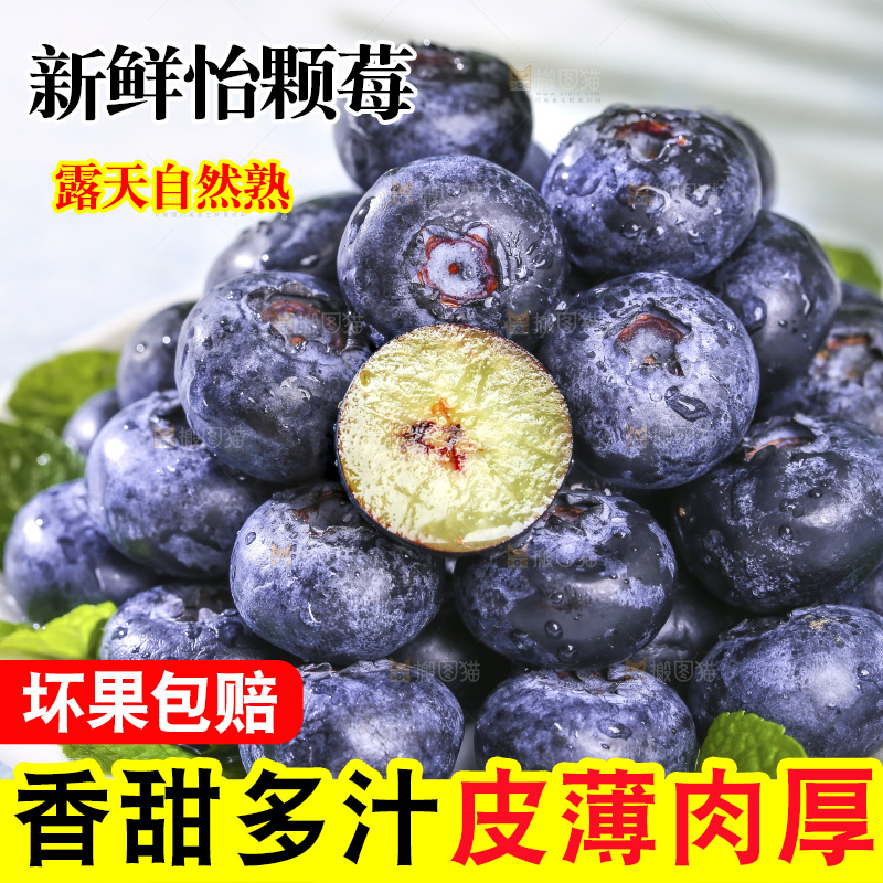 浅底上的怡颗梅