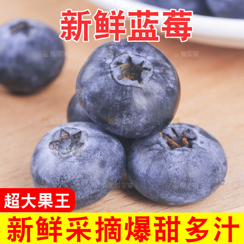 浅底上的怡颗梅