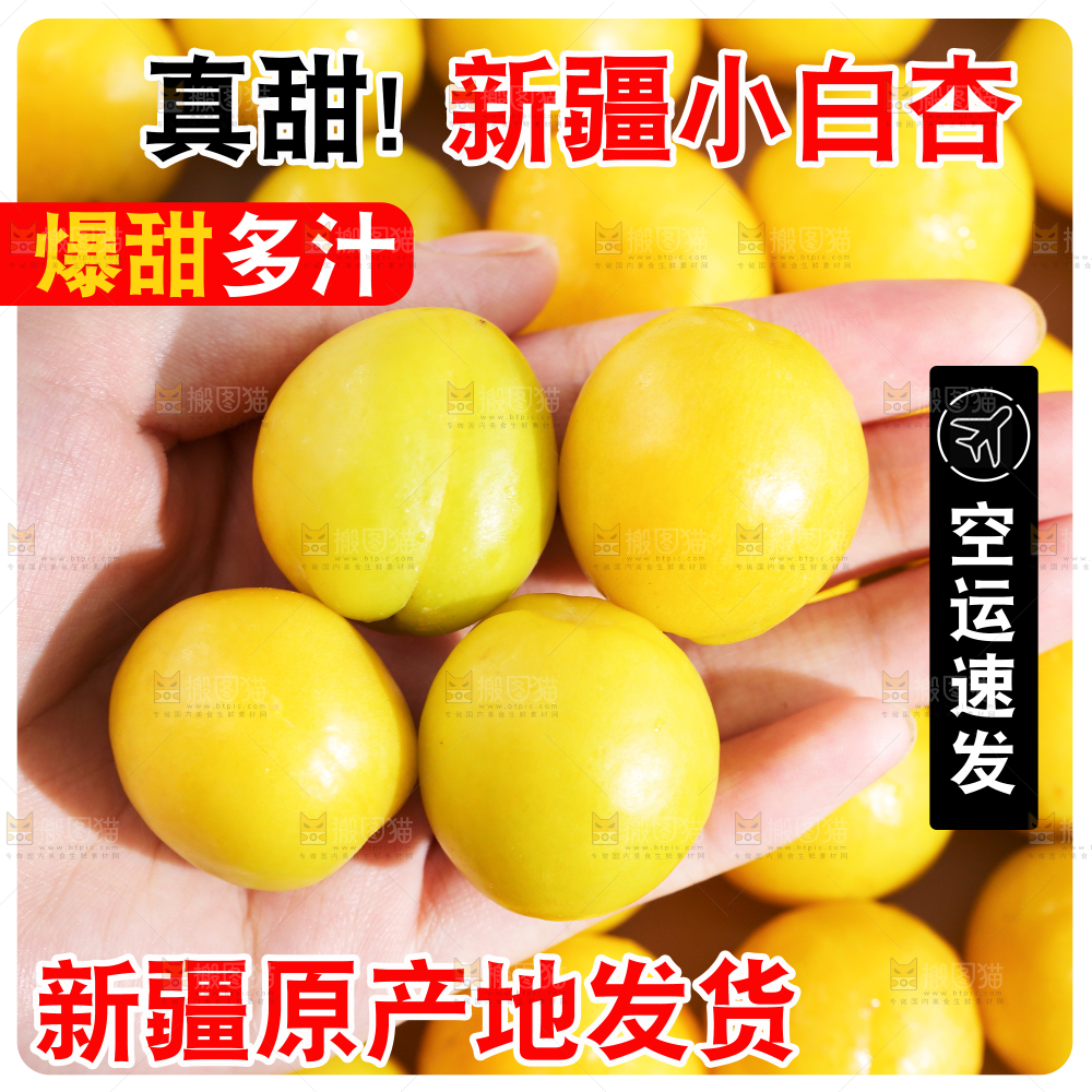 新疆小白杏主图