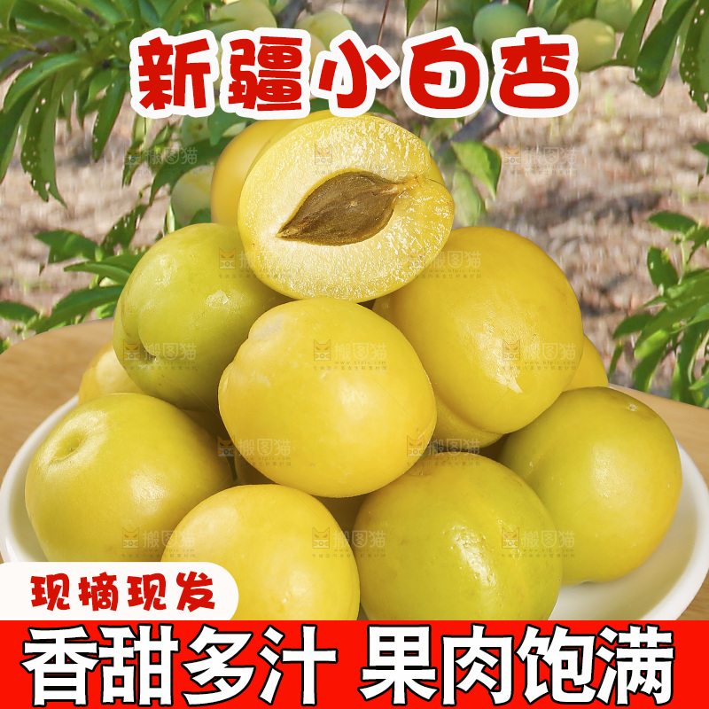 新疆小白杏主图