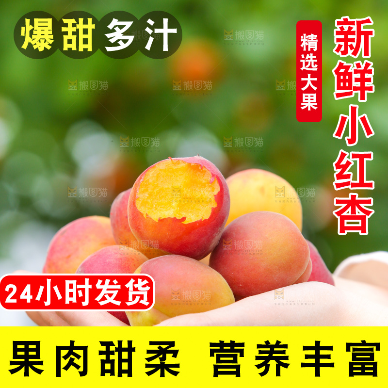 手里拿着新疆小红杏