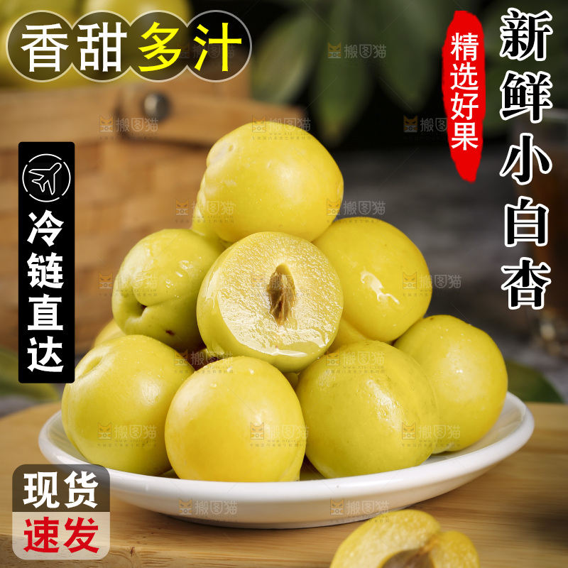 小白杏主图