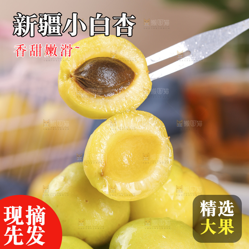 新疆小白杏主图