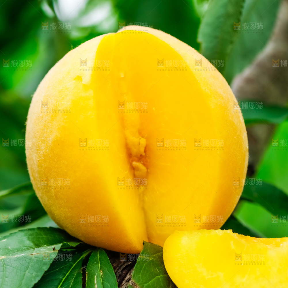 黄桃