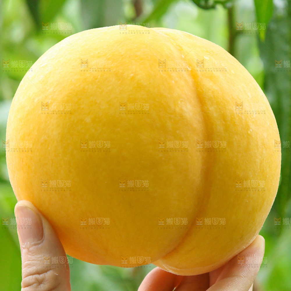 黄桃