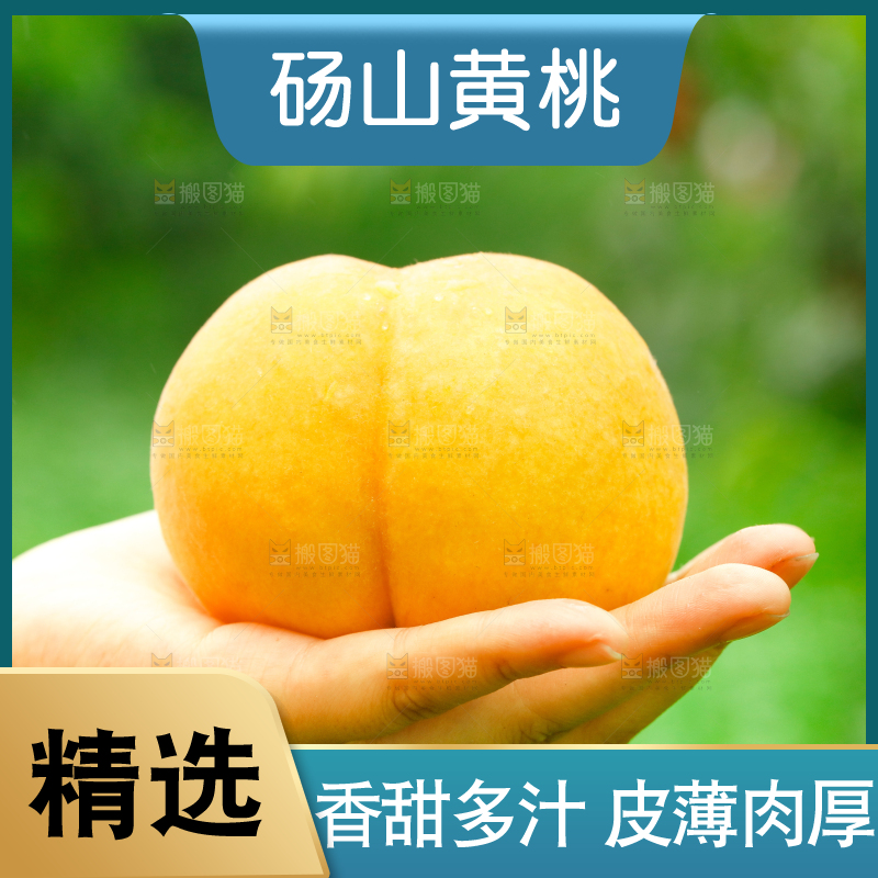 手里拿着砀山黄桃