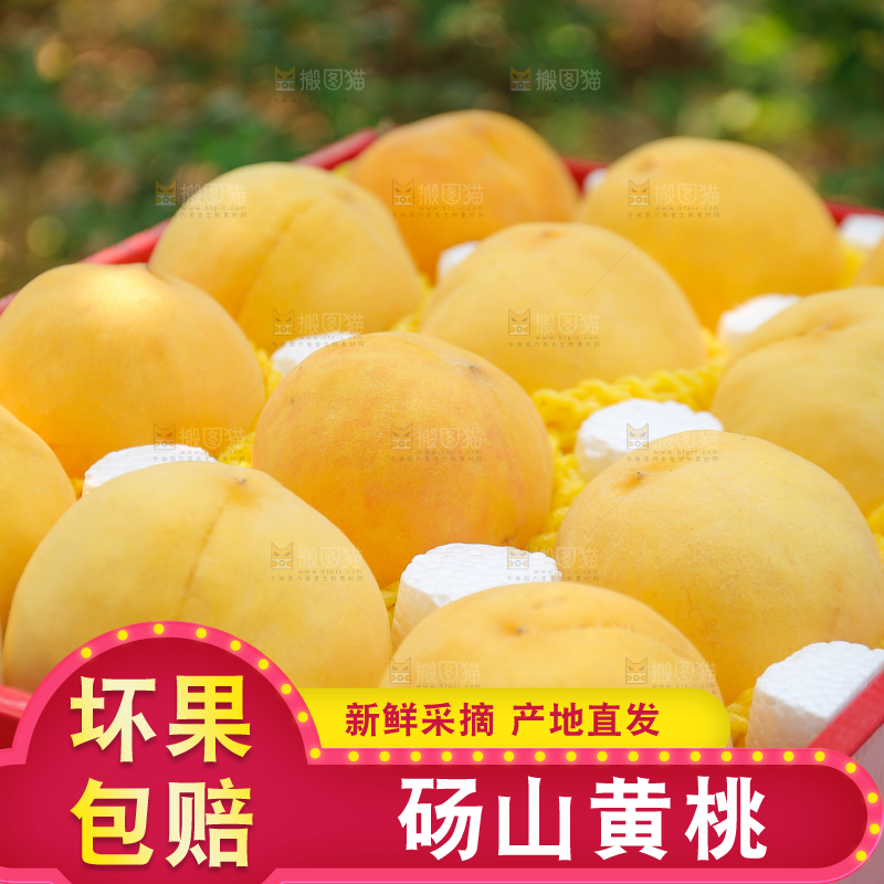 手里拿着黄毛桃