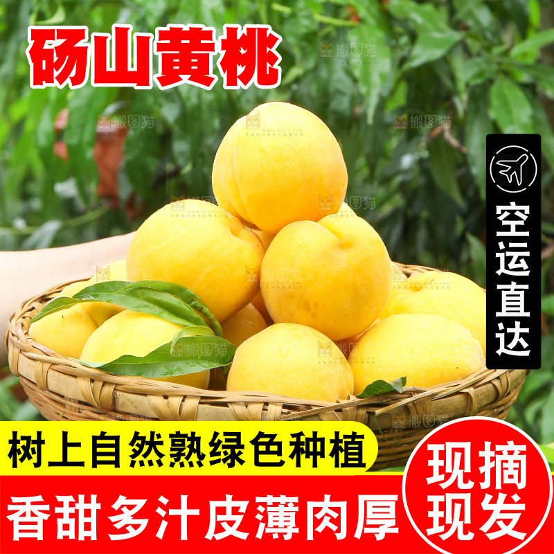 手里拿着砀山黄桃