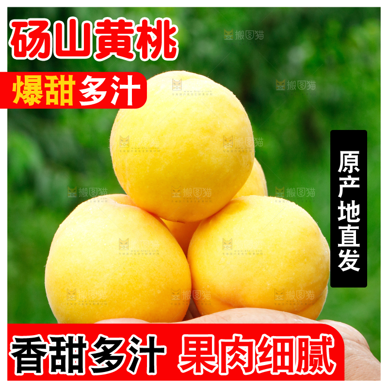 手里拿着黄毛桃