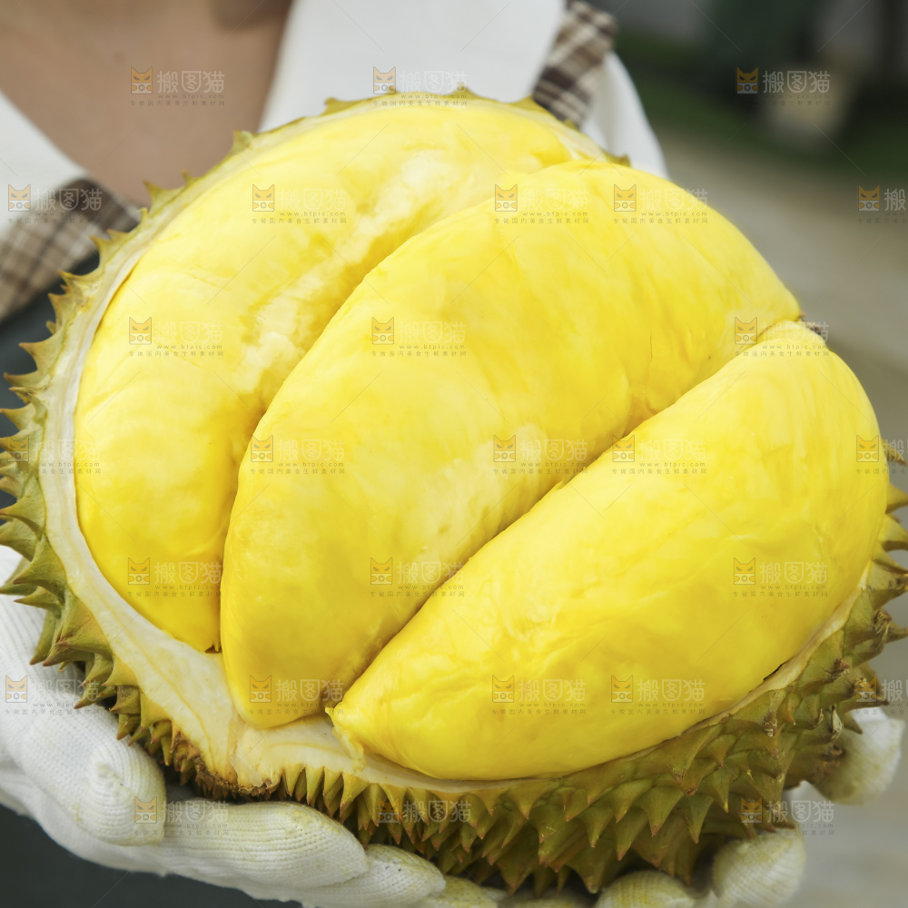 深底上的泰国榴莲