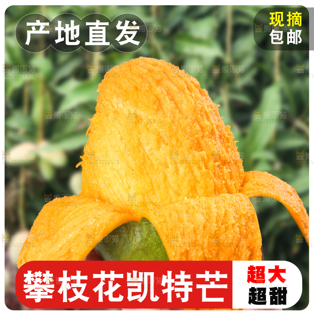 凯特芒主图