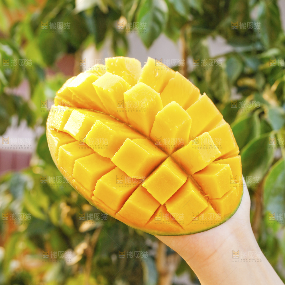 手里拿着凯特芒