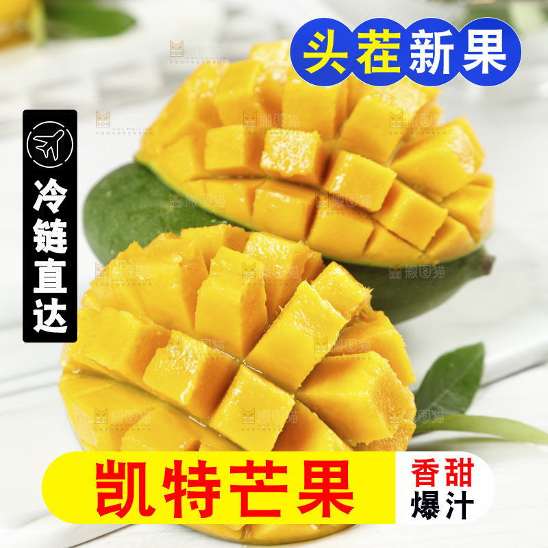 凯特芒主图