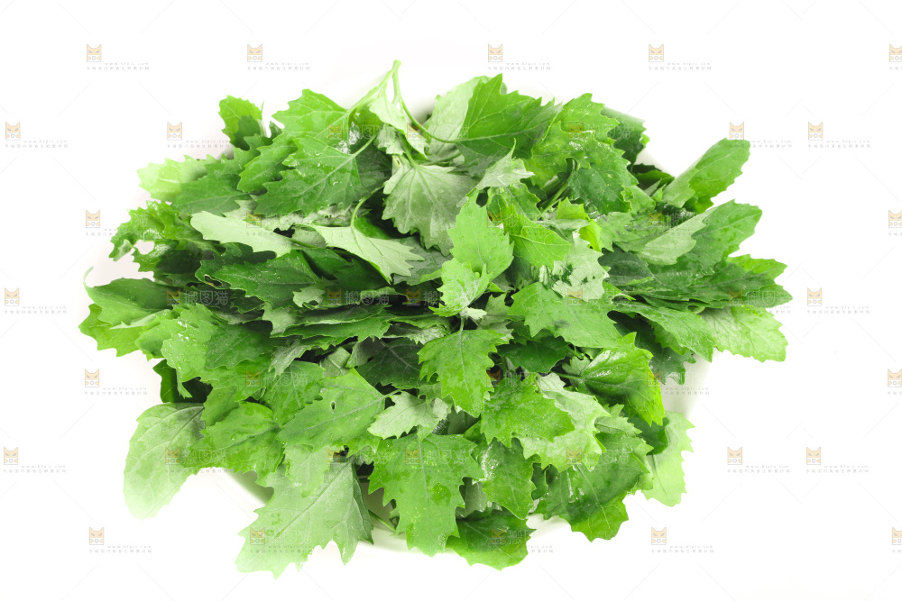 白底上的灰灰菜