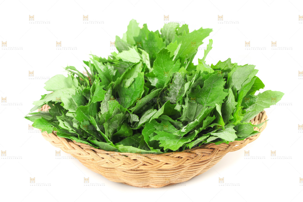白底上的灰灰菜