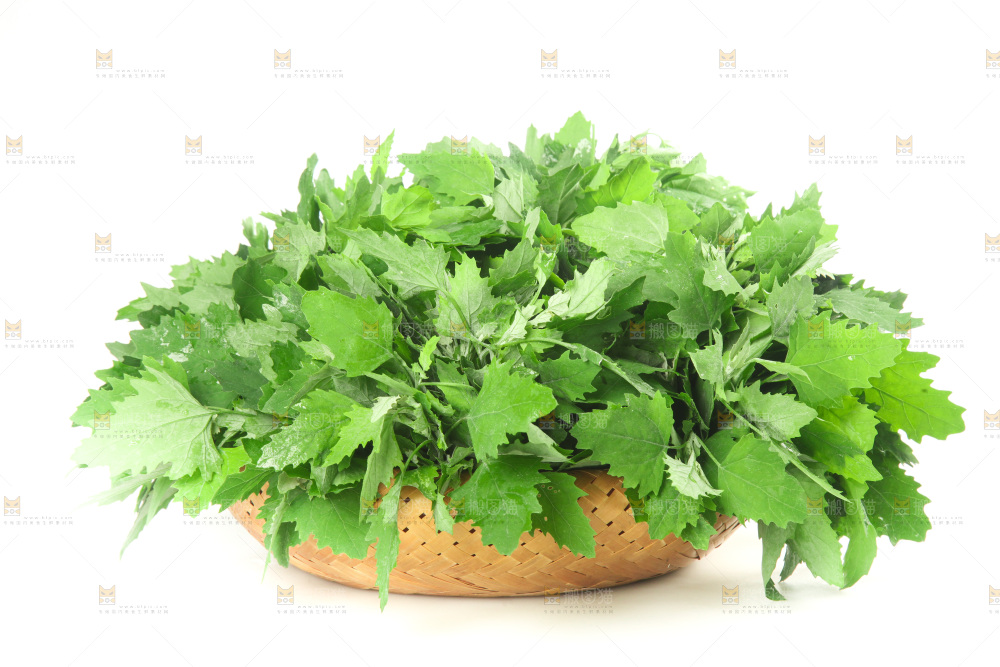 白底上的灰灰菜