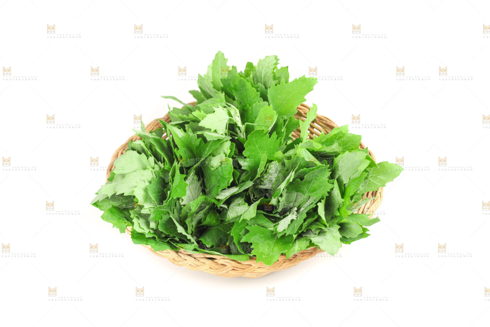 白底上的灰灰菜
