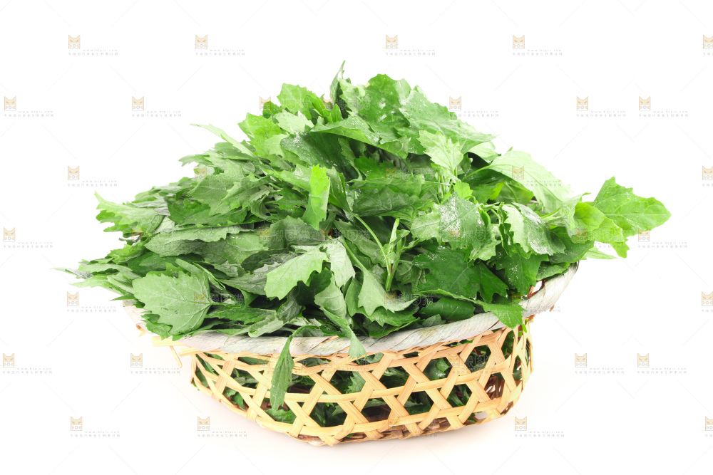 白底上的灰灰菜