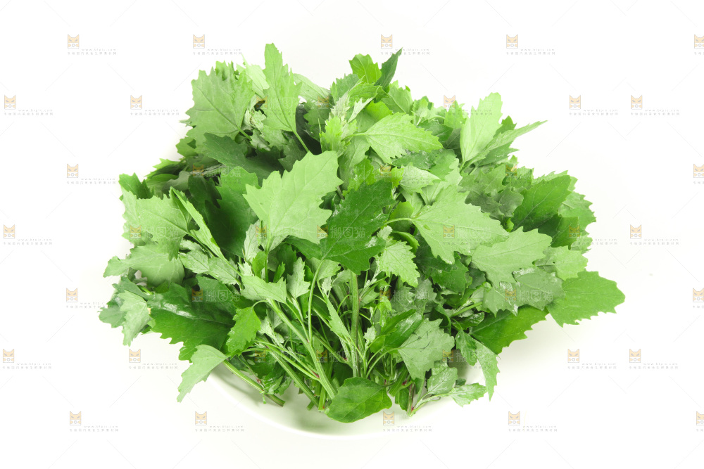 白底上的灰灰菜