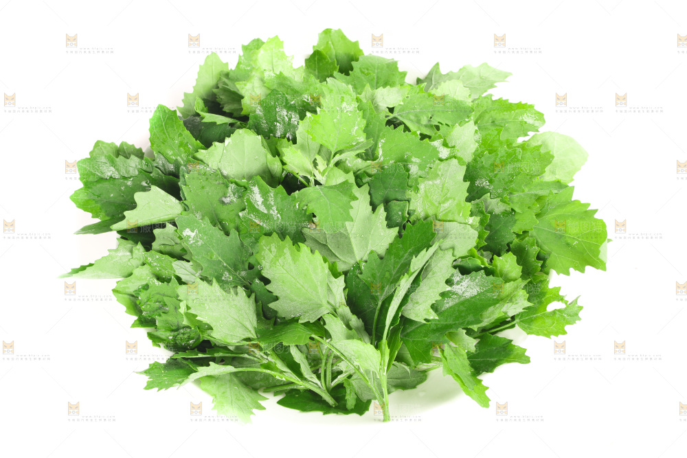 白底上的灰灰菜