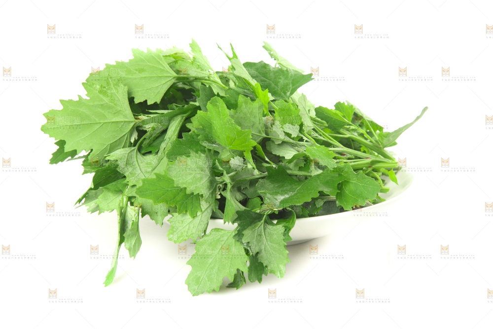 白底上的灰灰菜