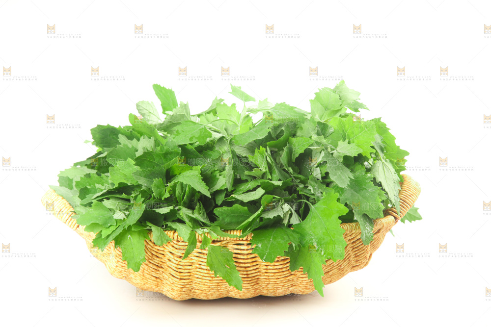 白底上的灰灰菜