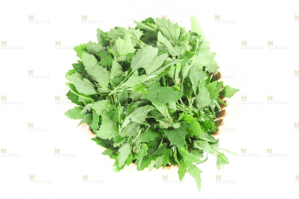 白底上的灰灰菜