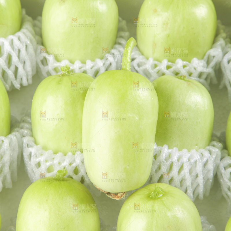 木底上的玉女黄瓜