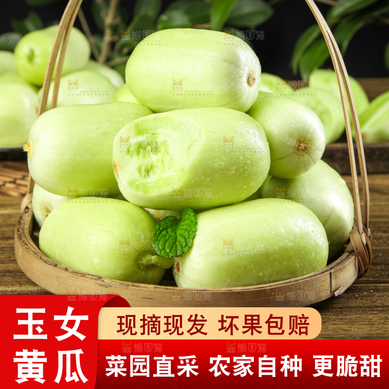 玉女小黄瓜主图