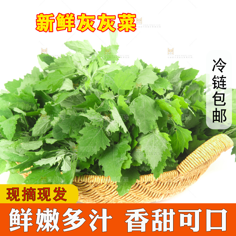 白底上的灰灰菜