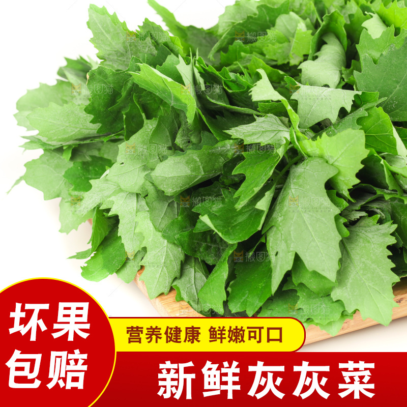 白底上的灰灰菜