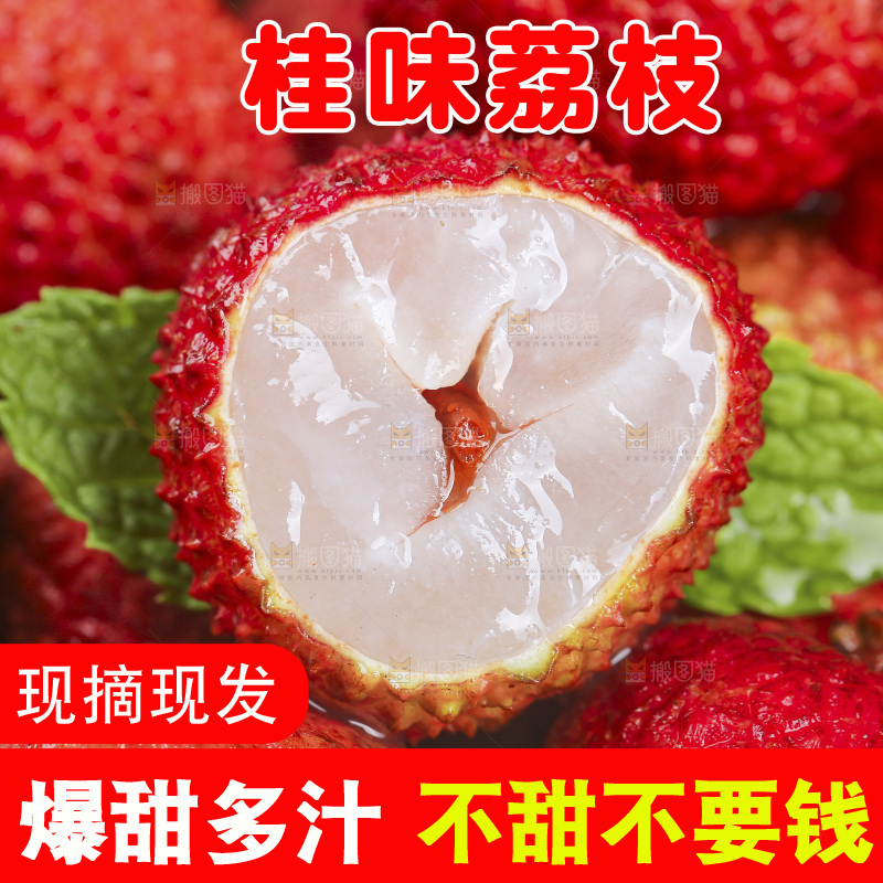 浅底上的桂味荔枝
