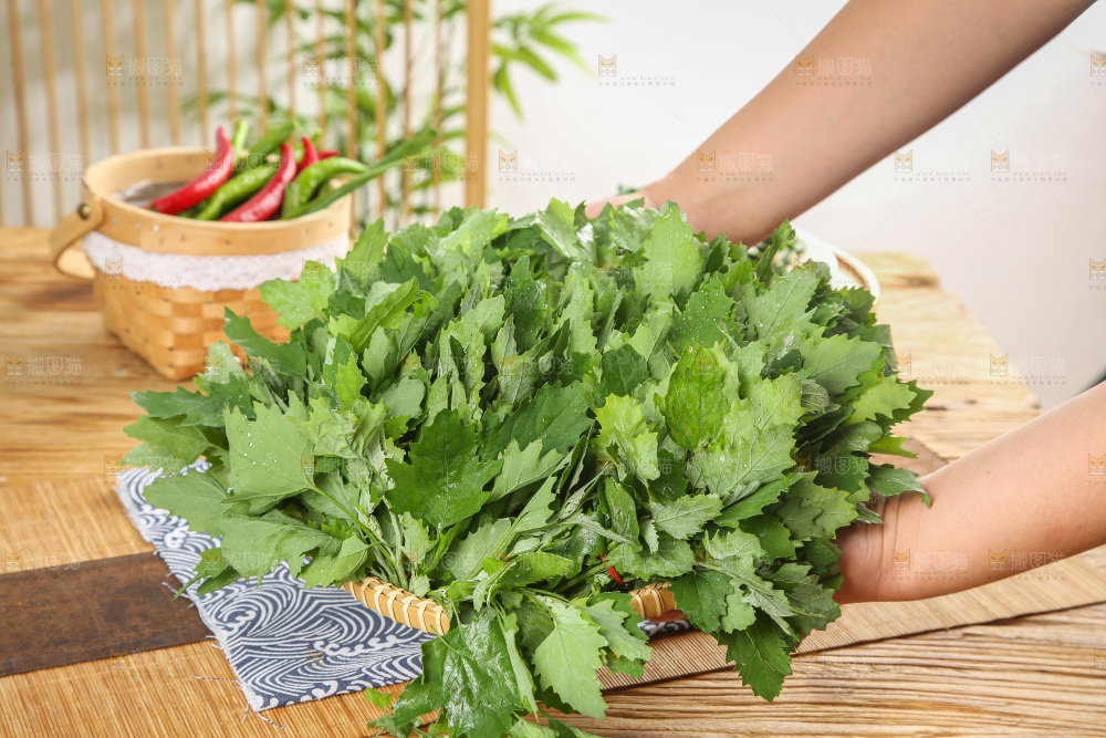 木底上的新鲜灰灰菜