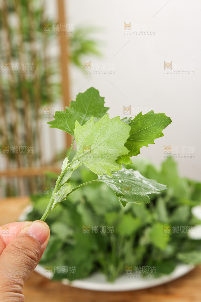 木底上的新鲜灰灰菜