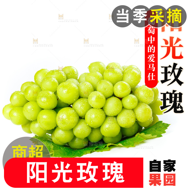 阳光玫瑰主图