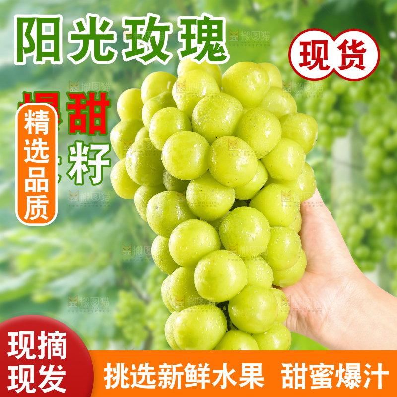 阳光玫瑰主图