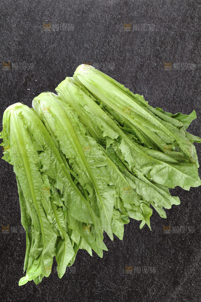 黑底上的油麦菜