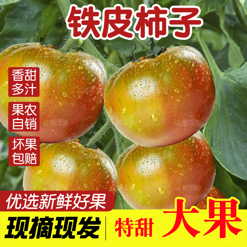 浅底上的铁皮柿子