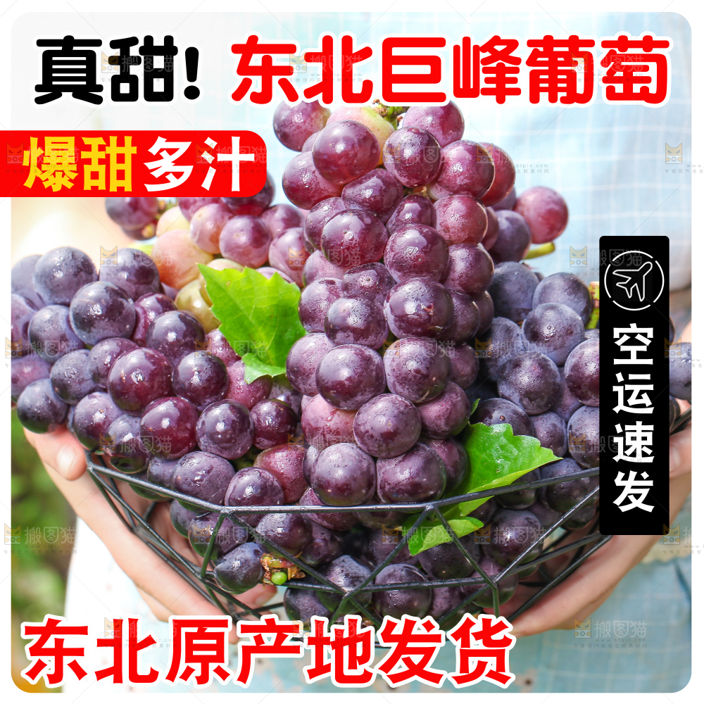 巨峰葡萄主图