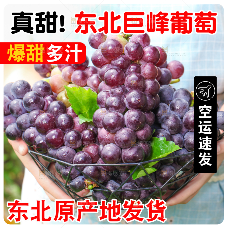 巨峰葡萄主图