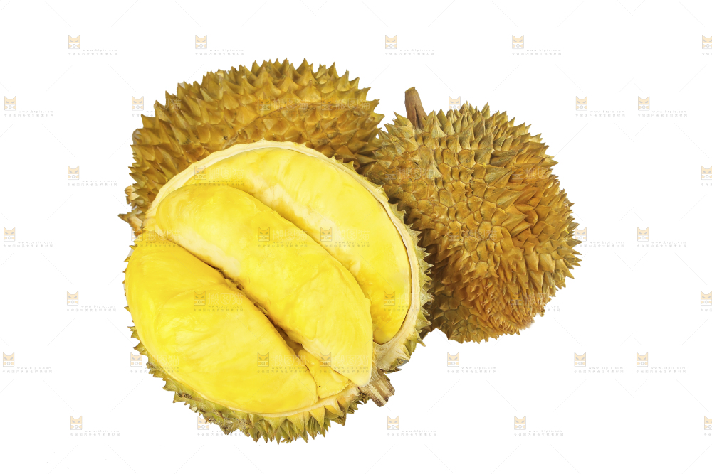 白底上的金枕榴莲