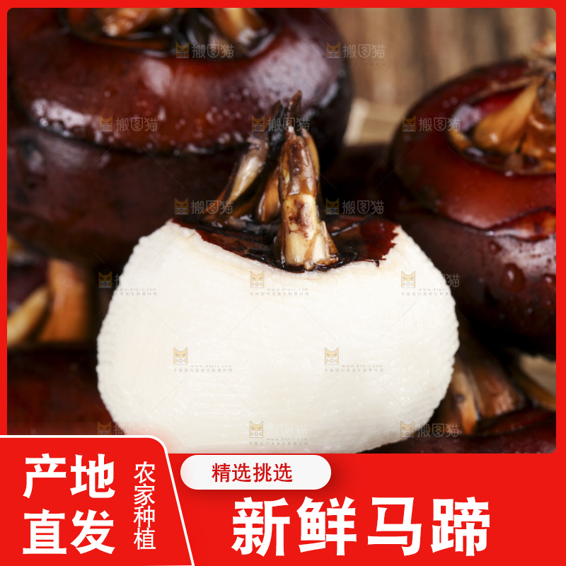 木底上的新鲜马蹄