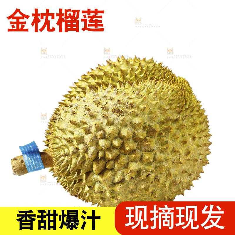白底上的金枕榴莲