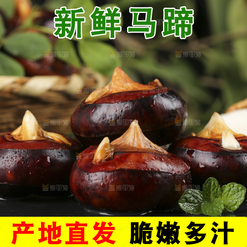 木底上的新鲜马蹄