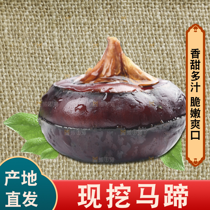 木底上的新鲜马蹄