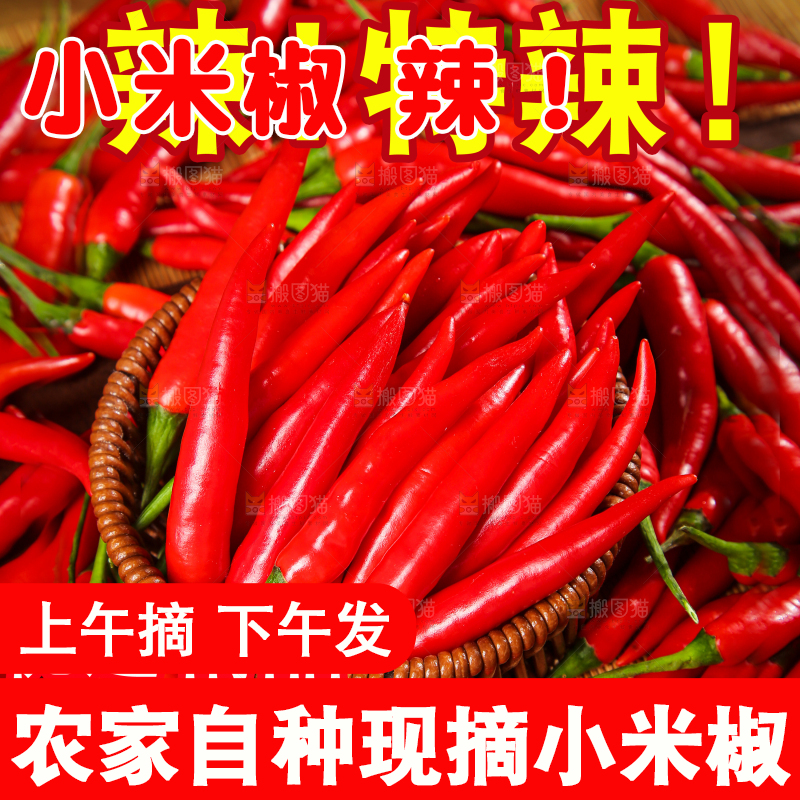 小米辣主图