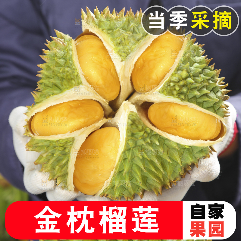 木底上的金枕榴莲