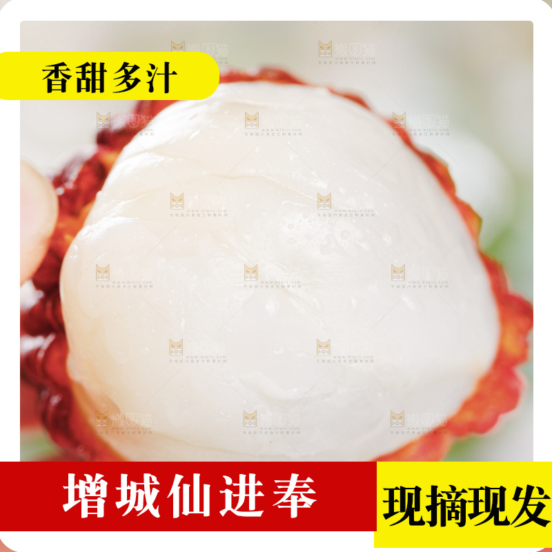 浅底上的仙进奉荔枝