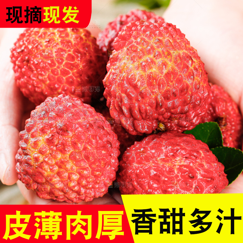 浅底上的仙进奉荔枝